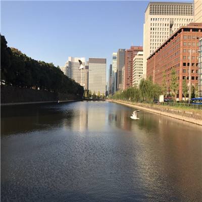 天诀九游手游下载